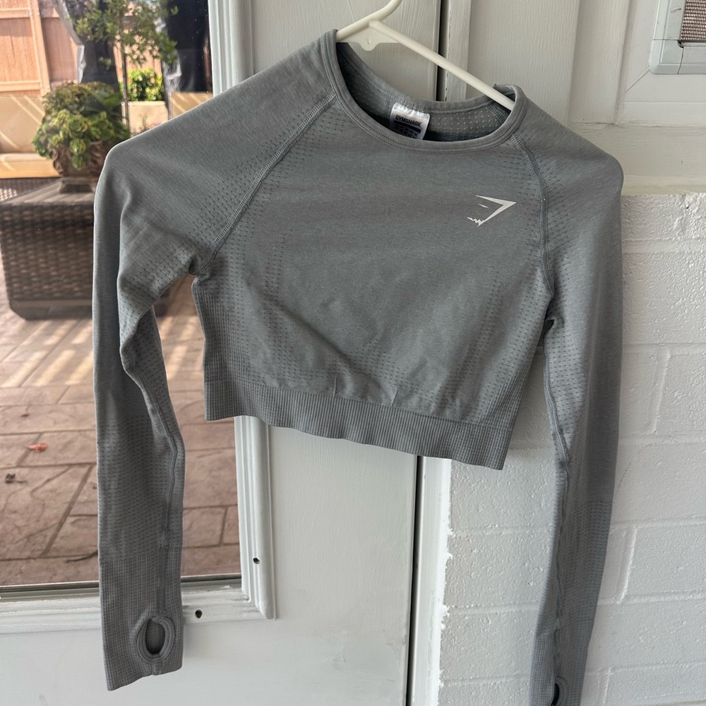 Gray Long Sleeve Crop Top